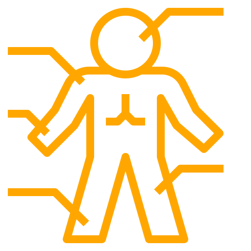 Anatomy Icon